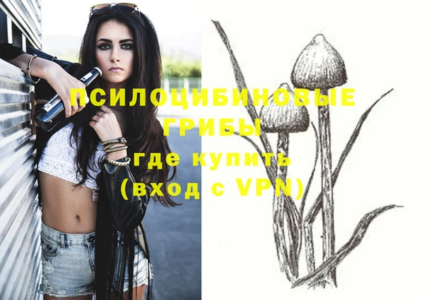 шишки Беломорск