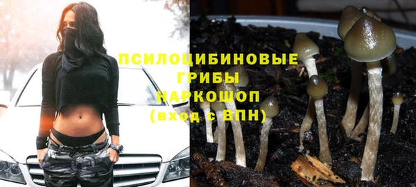 гашишное масло Богородск